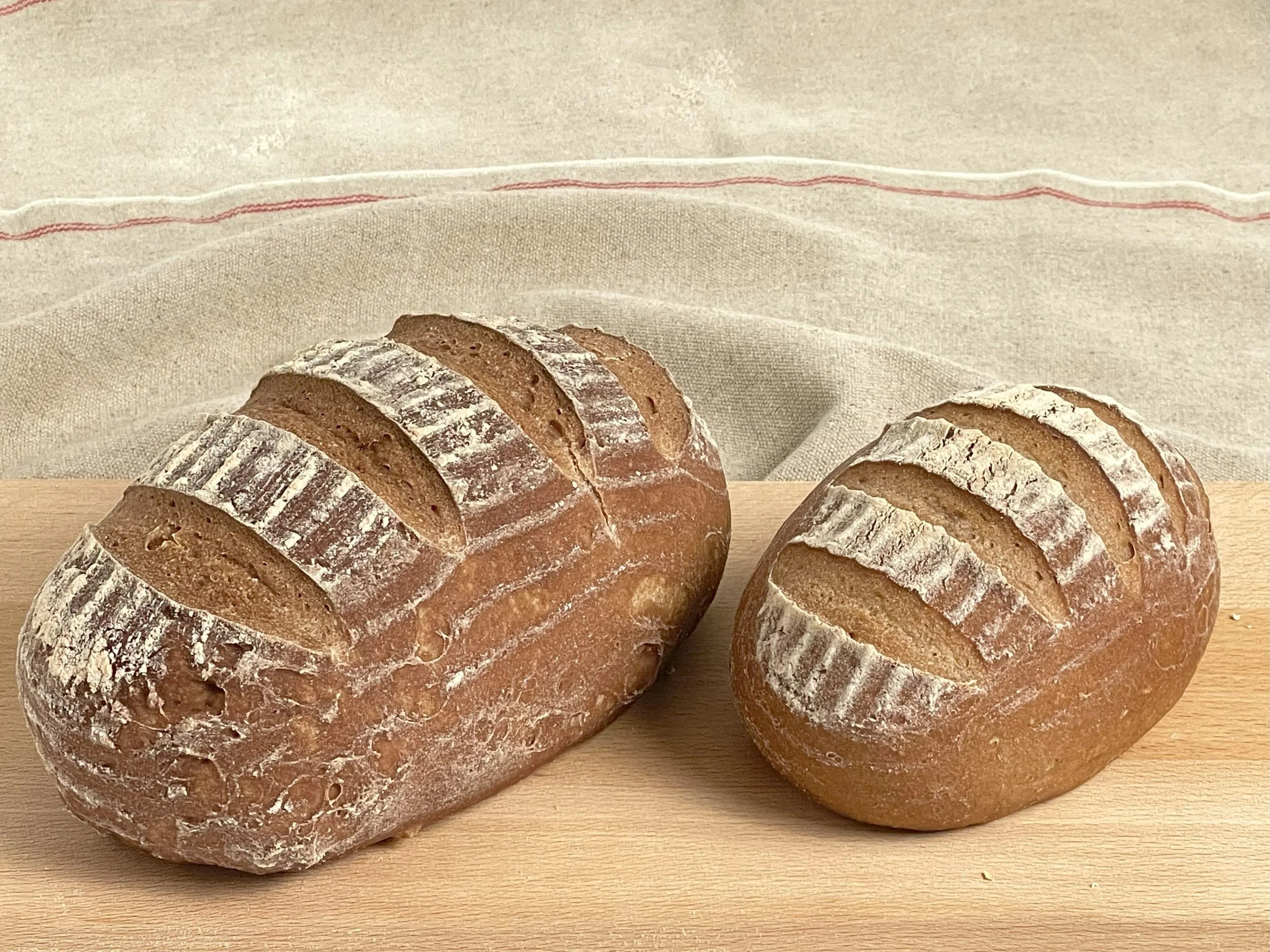 Glutenvrij desembrood proefpakket